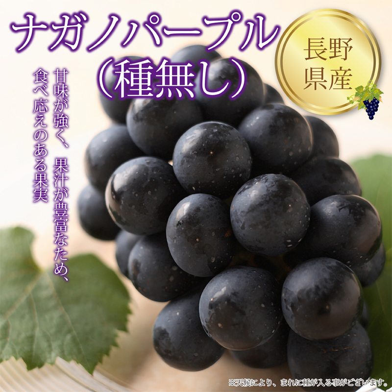 ネットストア限定【長野県産 ナガノパープル（種無し）】甘味が強く